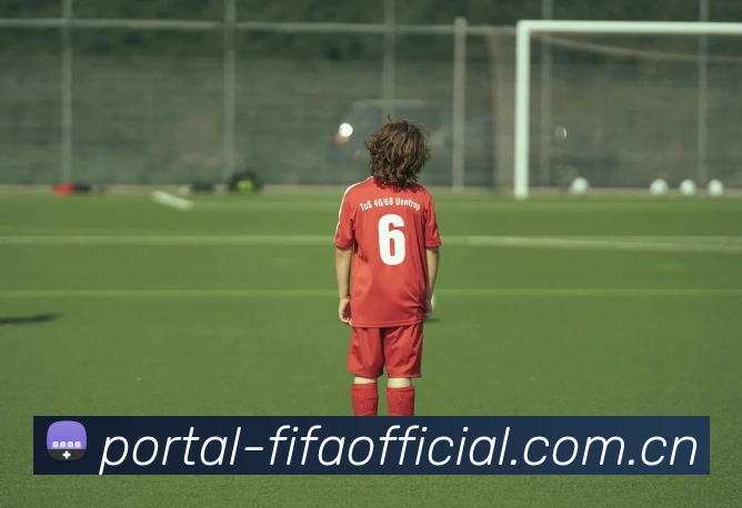 2026世界杯数据服务生态